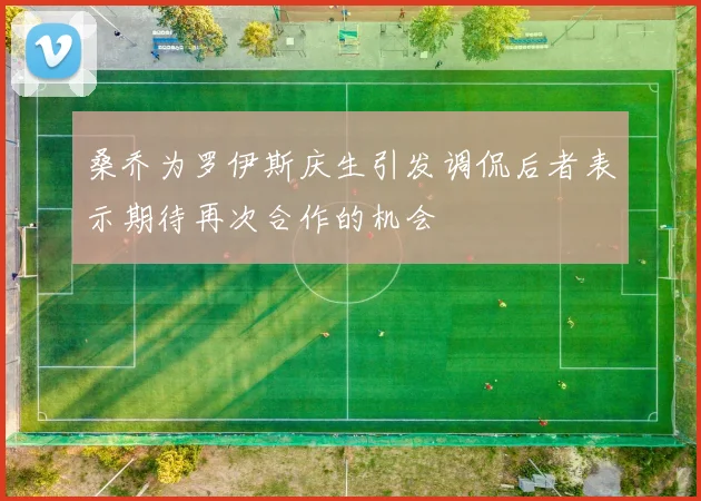 桑乔为罗伊斯庆生引发调侃后者表示期待再次合作的机会