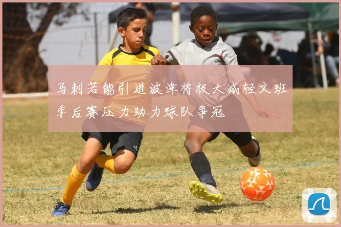 马刺若能引进波津将极大减轻文班季后赛压力助力球队争冠