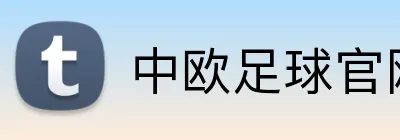 中欧足球官网 logo